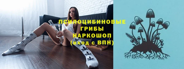 соль курить ск Новозыбков