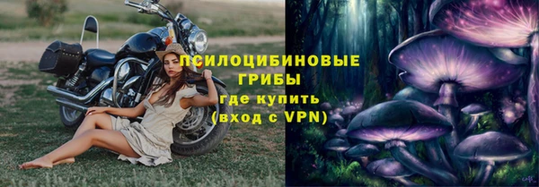 соль курить ск Новозыбков