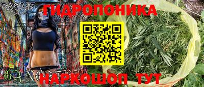 индика Бийск