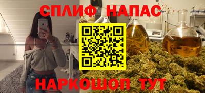 индика Бийск