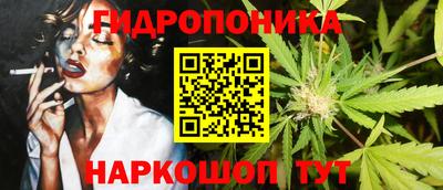 индика Бийск