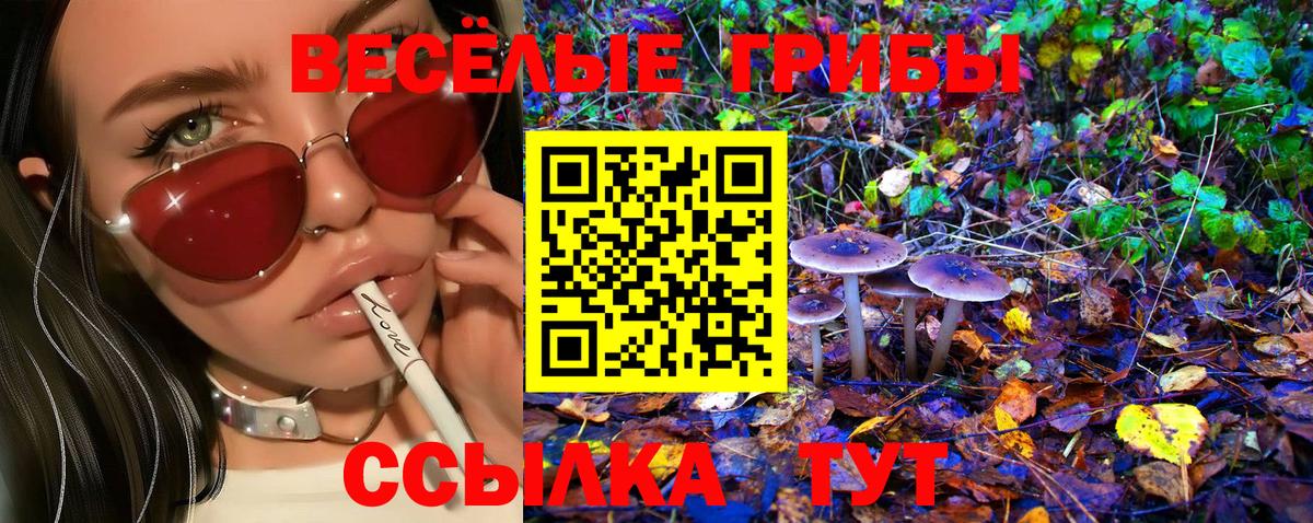 Галлюциногенные грибы Cubensis  Вход с VPN  Сургут  Галлюциногенные грибы Magic Shrooms 