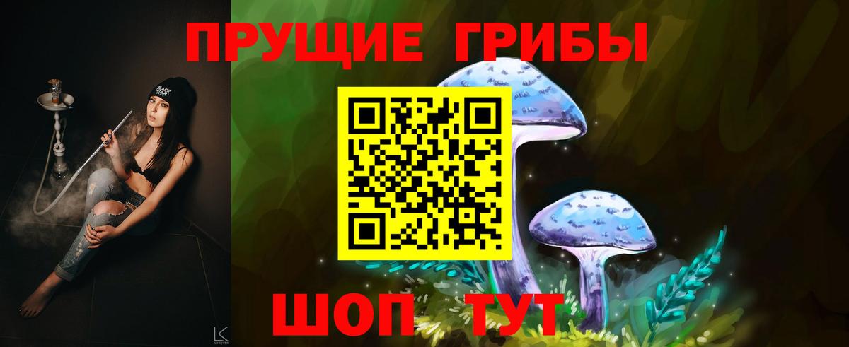 Псилоцибиновые грибы мицелий Сургут